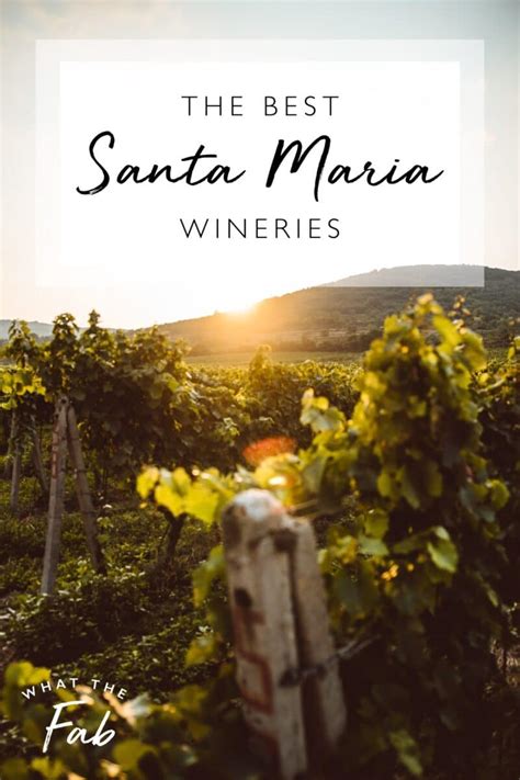 The 6 BEST Santa Maria Wineries to Visit | 2023