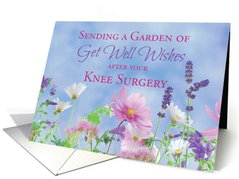 Get Well After Knee Surgery, Garden with Flowers card (1435150)