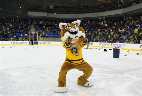 Quinnipiac Bobcats mascot, Boomer the Bobcat. | Mascot, Live streaming news, World news today