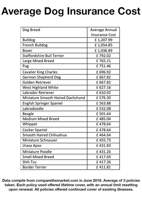 Dog Insurance - Is Pet Insurance Really Worth It?