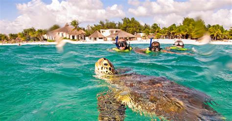 Xtreme Snorkeling and Zip Lines - Playa del Carmen