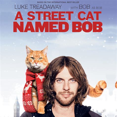 Street Cat Named Bob (DVD) – Cleopatra Records Store