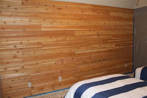 The ragged wren : Wood feature wall