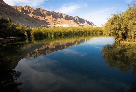 Enot Tsukim Nature Reserve – Israel Nature and Parks Authoritya