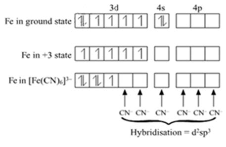 For the complex ion [Fe(CN)6]^3 - , state:(i) the type of hybridisation.(ii) the magnetic ...