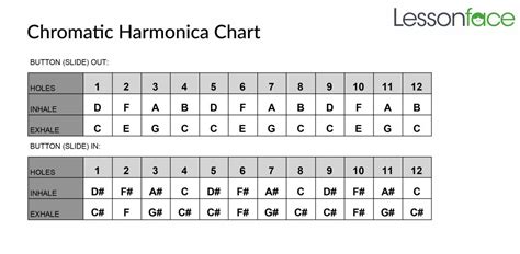 Chromatic Harmonica Chart | Lessonface