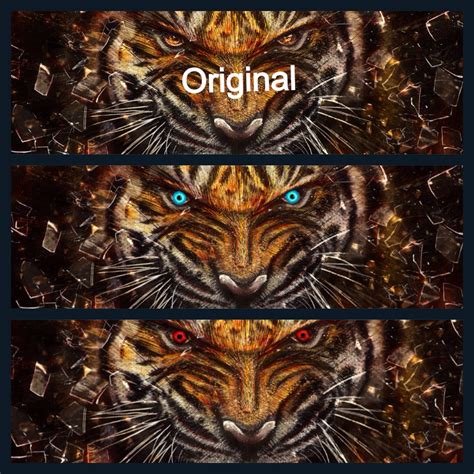 A close up of the tiger eye color change | Dieren, Tijger, Wallpaper