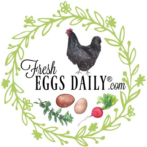 Fresh Eggs Daily by FreshEggsDaily on Etsy