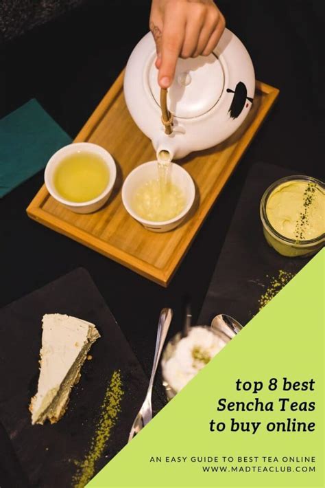 Sencha Tea: easy guide, 8 best teast to buy online