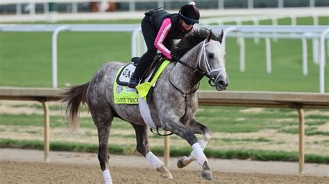 ¿Quién ganará el Kentucky Derby 2023? Caballos, apuestas, cuotas ...