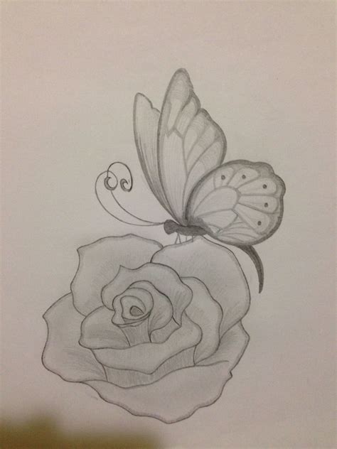 How To Draw A Butterfly On A Rose