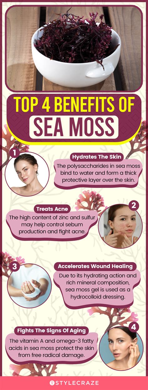 Sea Moss For Skin Care – Benefits, How To Use, And Side Effects