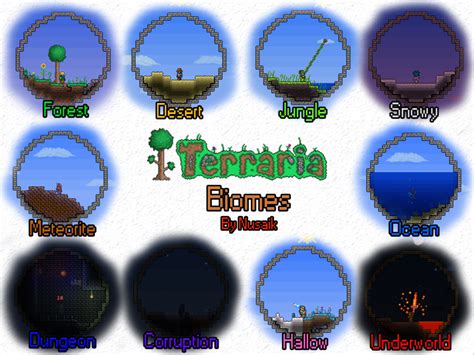 Terraria biomes by Nusaik on deviantART | Terrarium, Biomes, Terrarium ...