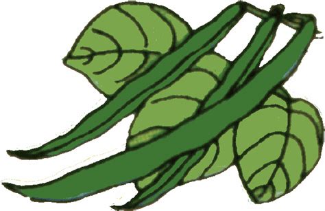 Green Beans Clipart - ClipArt Best