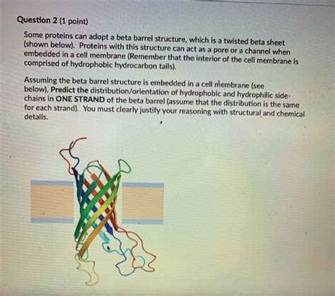 Solved Question 2 (1 point) Some proteins can adopt a beta | Chegg.com