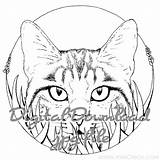 Ink Coloring Pages sketch template