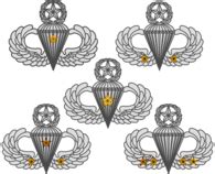 Army Airborne Wings