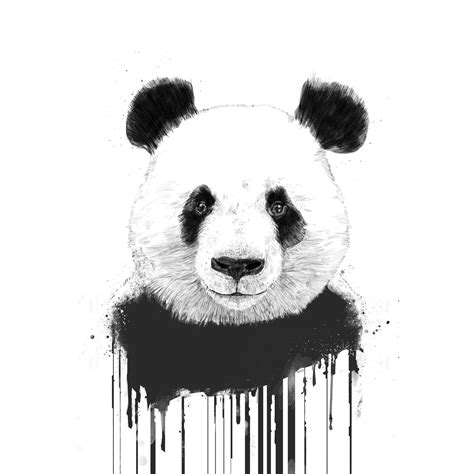 Buy Graffiti panda wallpaper - Free shipping