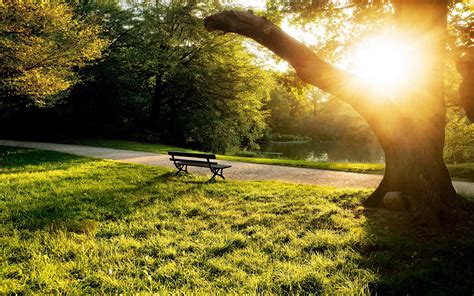 City park bench sunset wallpaper | 1920x1200 | #29673