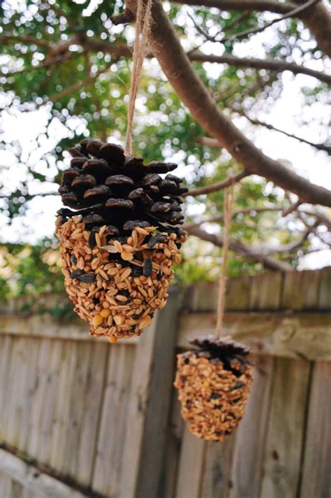 10 DIY Bird Feeder Ideas | Apartment Therapy