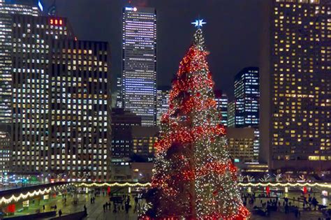 Toronto is about to get Canada's biggest Christmas tree