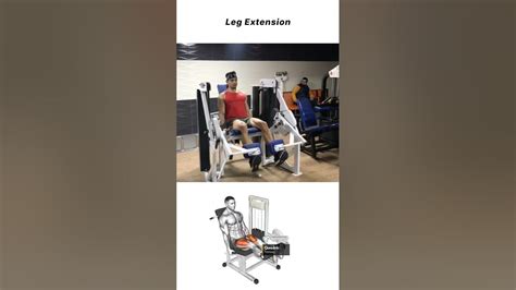 Leg Extension: Muscles Worked And Correct Technique - YouTube