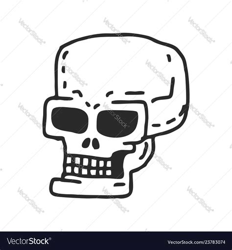 Cartoon Skeleton Head