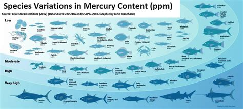 1 Species variations in mercury content (ppm) (Source: John Blanchard... | Download Scientific ...