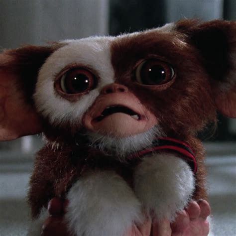 Gremlins 30th Anniversary Fun Facts | Video | POPSUGAR Celebrity