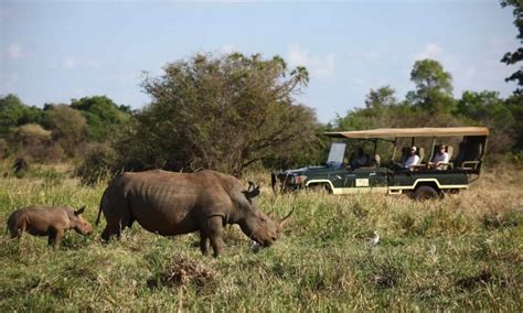 Meru national park Entrance Fee | Kenya Safaris Tours | Meru Park Tours