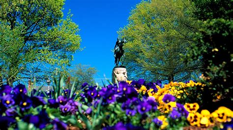 Charlottesville Vacation Packages 2017 - Book Charlottesville Trips | Travelocity