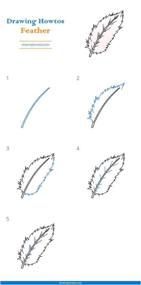 How to Draw a Feather - Step by Step Easy Drawing Guides - Drawing Howtos