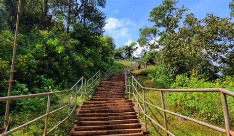 Parks in Bangalore