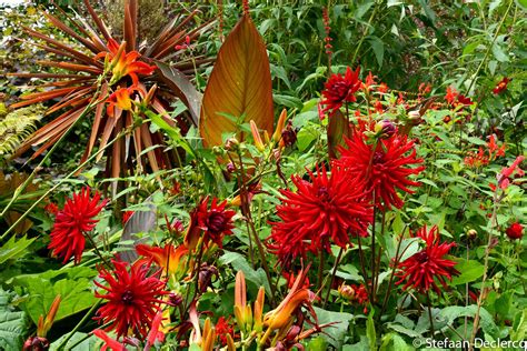 Hidcote Manor Gardens