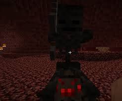 Wither Skeleton Jockey | Minecraft Mobs Wiki | FANDOM powered by Wikia