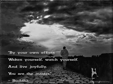 Buddha Mindfulness Quotes. QuotesGram