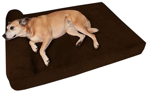 9 of the Best Chew Proof Dog Beds to prevent a Bedding Disaster