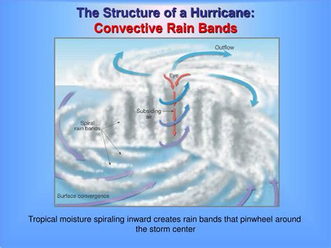 PPT - Hurricanes PowerPoint Presentation, free download - ID:5825740