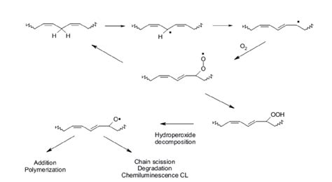 Schematic description of auto-oxidation for the linoleate structure ...