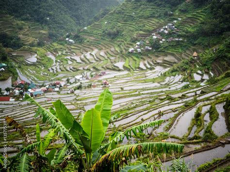 Visiting the rice terraces of Batad Stock Photo | Adobe Stock