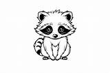 Cute Baby Raccoon Coloring Page For Kids Graphic By Forhadx5 · Creative  sketch template