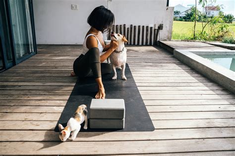 The Benefits of Dog Yoga - THE SEEK BLOG