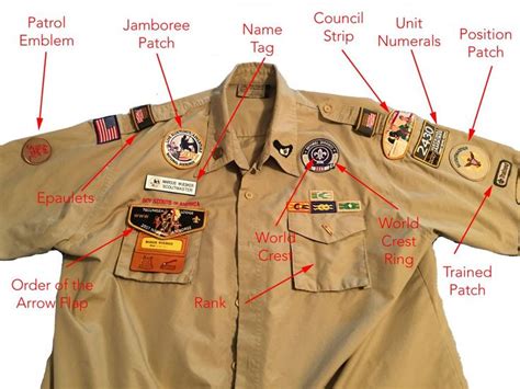 Found on Bing from tshirt.sisicamping.info | Boy scout uniform, Boy scouts, Scout uniform