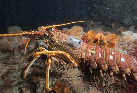 Explore Nature - Visit Isles of Scilly