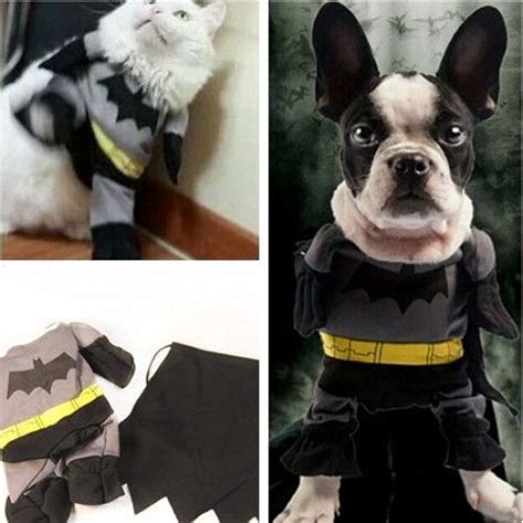 Batman Pet Costume for Small Dogs and Cats | Batman dog costume, Pet costumes, Pets