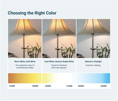 How to Choose the Right Light Bulbs | Zoro.com