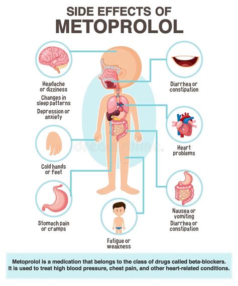 Human Anatomy Diagram Cartoon Style of Metoprolol Side Effects Stock ...