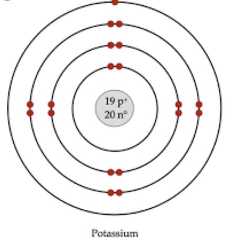 When making a Bohr model the first shell can only hold 2 electrons, the second shell can only ...