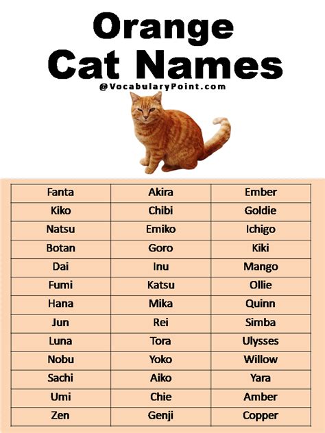 500+ Most Popular Cat Names in English - Vocabulary Point