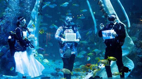 Derbyshire couple hold wedding celebration under water - BBC News